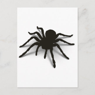 3D-Spider Postkarte