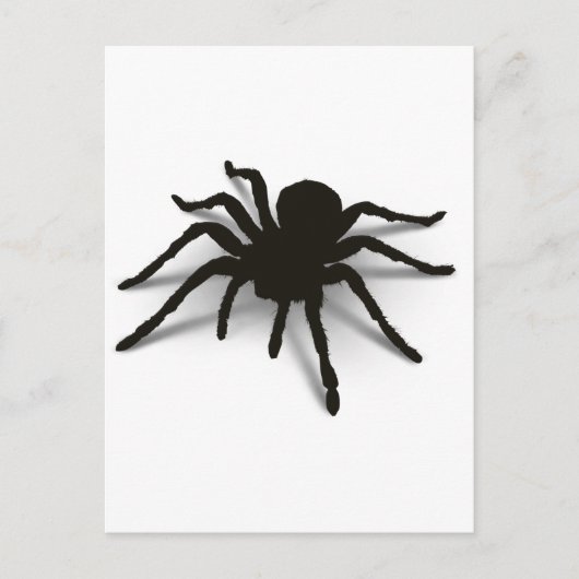 3D-Spider Postkarte (Vorderseite)