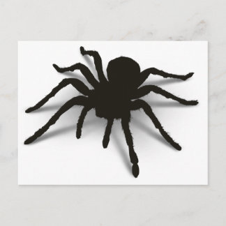 3D-Spider Postkarte