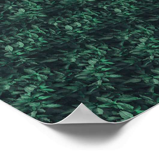 3D-Stereogramm verborgen Poster (Ecke)