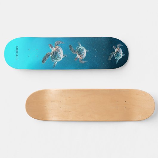 3D Turtles Coastal Skateboard (Horizontal)
