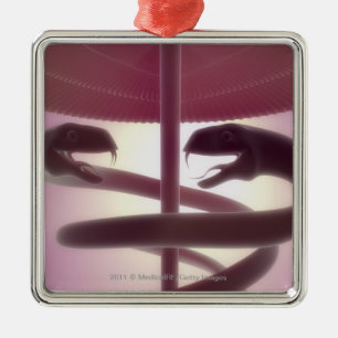 3d übertrug medizinischen Caduceus Silbernes Ornament