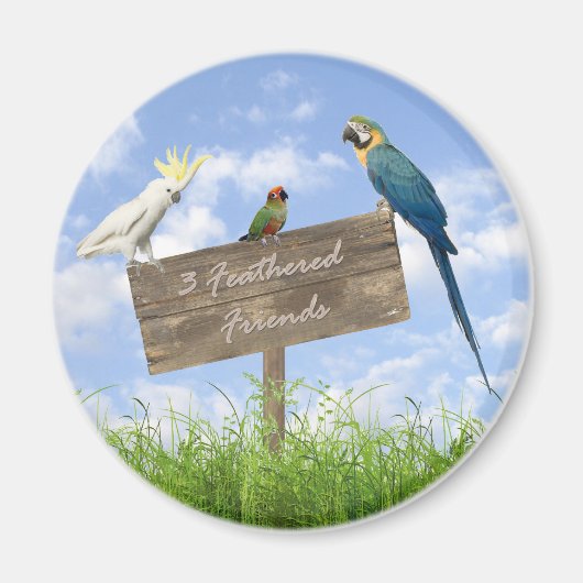 3FF-Magnetmagnet Magnet (Vorne)