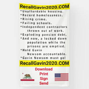 3ft x 5ft Recallgavin2020 Banner