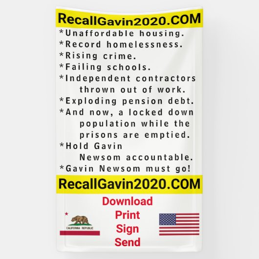 3ft x 5ft Recallgavin2020 Banner (Vertikal)