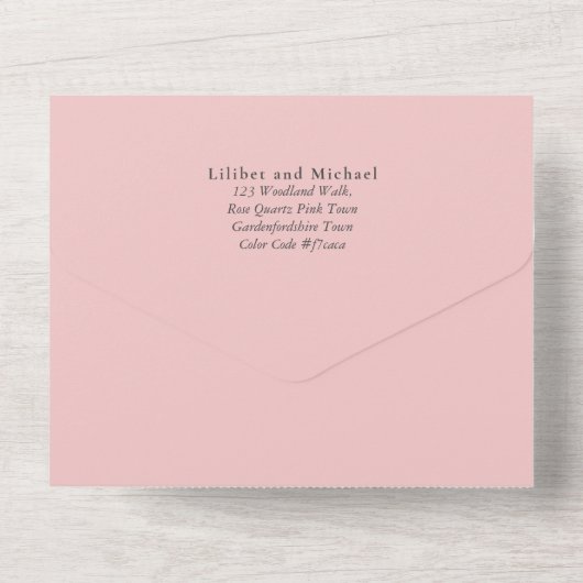 3in1 BOHO Pampas Grass Terracotta Wedding RSVP All In One Einladung (Rückseite)