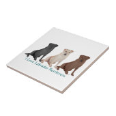 3Labs Fliese (Seite)