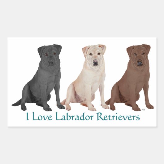 3Labs Rechteckiger Aufkleber (Vorderseite)