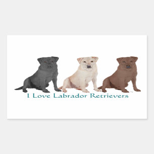 3Labs Rechteckiger Aufkleber