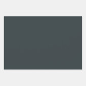 3pc. Packpapier für den Holiday Skull-Umschlag Geschenkpapier Set (Vorderseite 3)