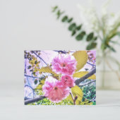 3PINK BLOSSOME LIGHT POSTCARD POSTKARTE (Stehend Vorderseite)