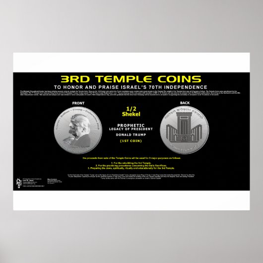 3rd Temple Coin-1 Poster (Vorne)