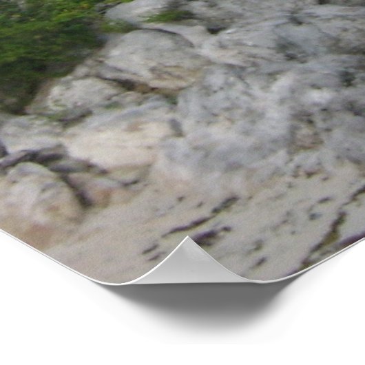 3SqMeals # 263 Poster (Ecke)