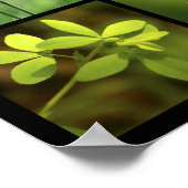 3x3 grüne Fotos drucken Poster (Ecke)