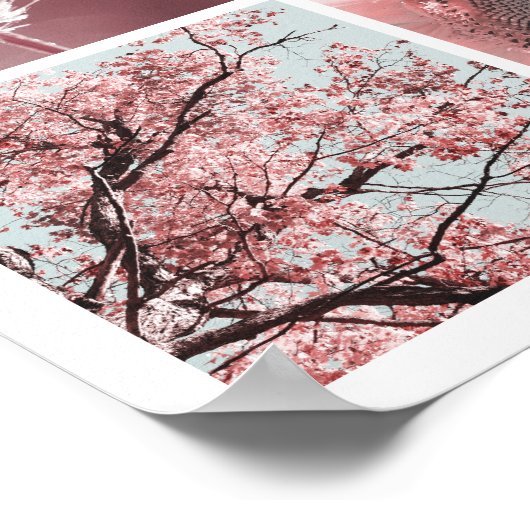 3x3 rosa Fotos drucken Poster (Ecke)