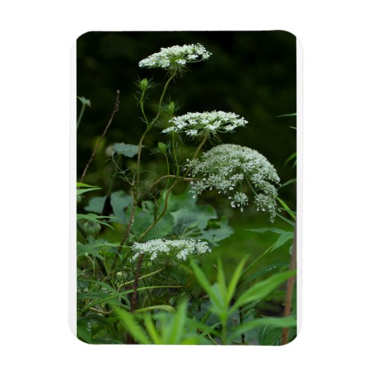 3x4-Magnetschablone Magnet (Vertikal)