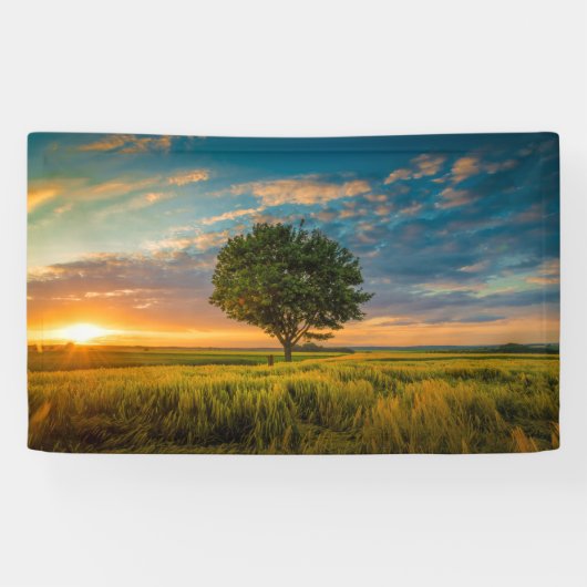 3'x 5' Banner (Horizontal)