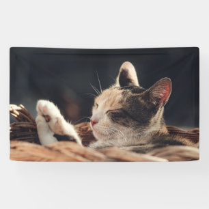 3'x 5' Banner