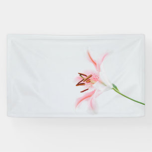 3'x 5'-Banner Banner