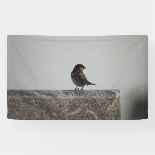 3'x 5'-Banner Banner (Horizontal)