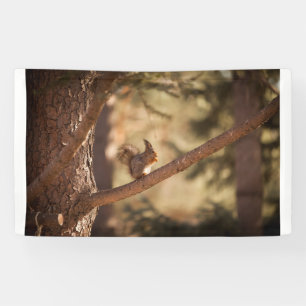 3'x 5'-Banner Banner