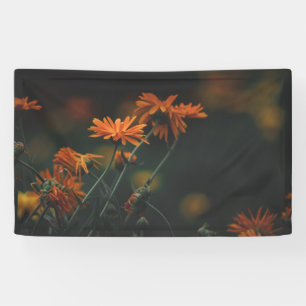 3'x 5'-Banner Banner