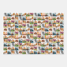 3x Blätter 10 weißes Papier mit Fotovorlage