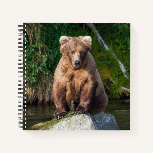 409 Badnose-Notebook Notizblock (Vorderseite)