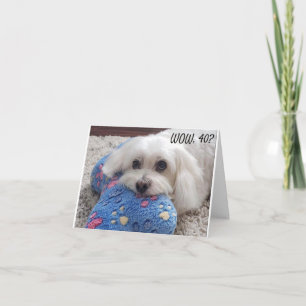 *40. BIRTHDAY* HA HA (FUNNY DOG SPASS) KARTE