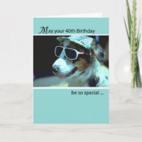 40. Geburtstag mit Hundeschlitten Sonnenbrille, Sp
