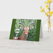 **40.** GEBURTSTAG SAGT SCHOCKIERTES DEER? KARTE (Gelbe Blume)