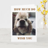 **40. GEBURTSTAG** WOOF WOOF SAGT SPANIEL KARTE (Gelbe Blume)