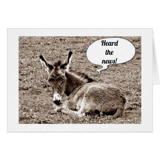 ***40.*** GEBURTSTAGLICHE HINWEISE VON BABY MULE (Vorderseite (Horizontal))