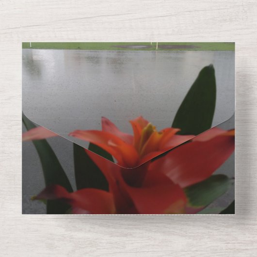 40. Hochzeitstag Einladung Ruby (Rückseite)