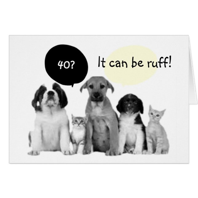 "40" KANN RUFF-SO GENIESSEN SIE DIE PUPS (Vorderseite (Horizontal))