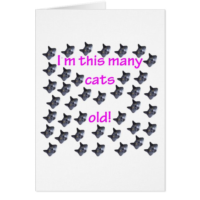 40 Katzen-Köpfe alt (Vorne)