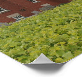 40 Mile Point Lighthouse Poster (Ecke)