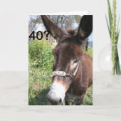 40? NIE HÄTTE GÄSTE! KARTE (Vorderseite)