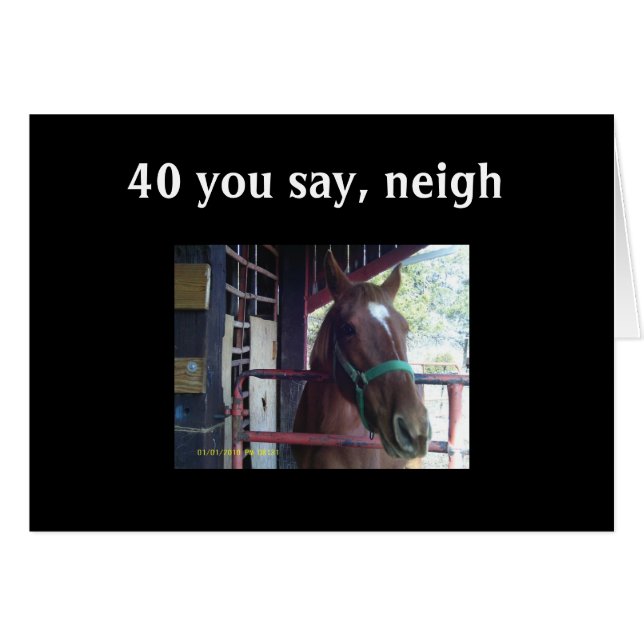 "40" SAGEN SIE - NEIGH! (Vorderseite (Horizontal))
