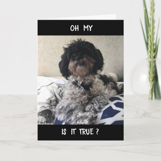 **40** SIEHT SICH SEHR GUT AUF SIE AUS! HAPPY BIRT KARTE (Vorderseite)