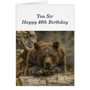 40. Über dem Hügel ernsthaft aussehender Grizzly B