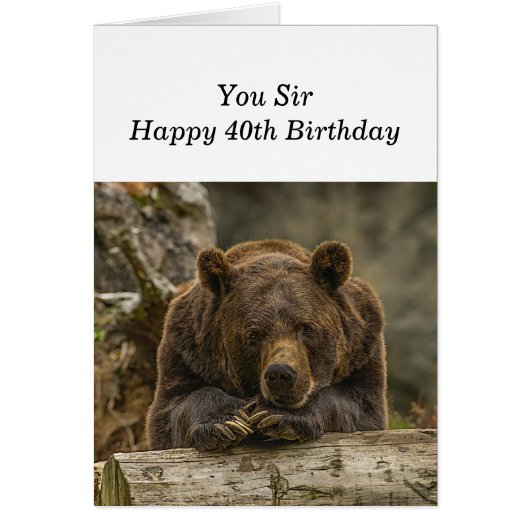 40. Über dem Hügel ernsthaft aussehender Grizzly B (Vorne)