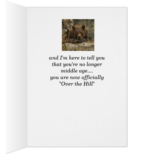 40. Über dem Hügel ernsthaft aussehender Grizzly B (Innen (Rechts))