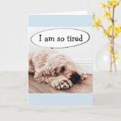 **40th BIRTHDAY** TIRED DOG IS A FUNNY DOG AS WELL Karte (Gelbe Blume)