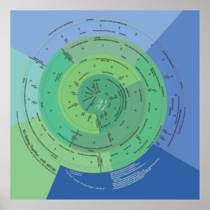 40x40 gehören wir mit allem Leben Poster
