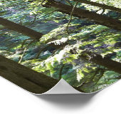 41067 POSTER (Ecke)
