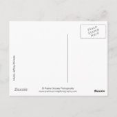 41786a Hunk Postkarte (Rückseite)