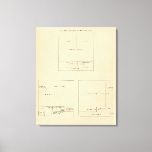 41 Bevölkerungsgruppen 1900 Leinwanddruck (Vorderseite)