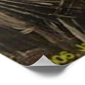 41. und 5. poster (Ecke)