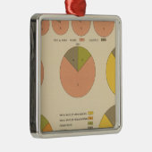 42 Bevölkerung, Elemente 1790-1900 Silbernes Ornament (Rechts)